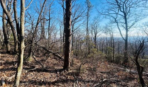 Photo #15 of TBD Reflection Point, Fancy Gap, VA 5.2 acres