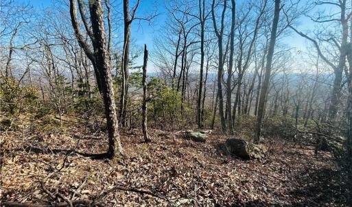 Photo #11 of TBD Reflection Point, Fancy Gap, VA 5.2 acres