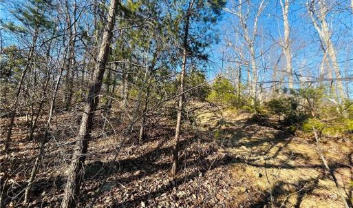 Photo #25 of TBD Reflection Point, Fancy Gap, VA 5.2 acres