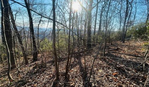 Photo #21 of TBD Reflection Point, Fancy Gap, VA 5.2 acres