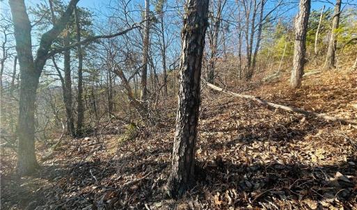 Photo #12 of TBD Reflection Point, Fancy Gap, VA 5.2 acres