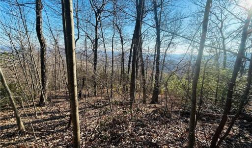 Photo #20 of TBD Reflection Point, Fancy Gap, VA 5.2 acres