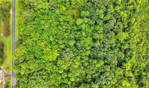 Photo #13 of 5438 Wild Turkey, Whitsett, NC 2.4 acres