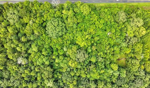 Photo #16 of 5438 Wild Turkey, Whitsett, NC 2.4 acres