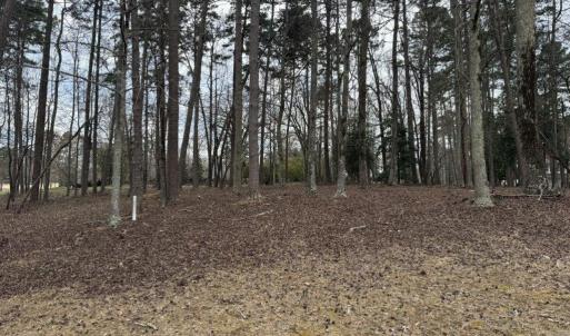 View of Lot