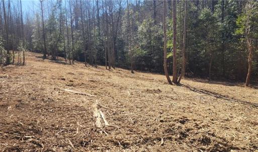 Photo #6 of LOT 6 St Andrews Church, Sanford, NC 2.5 acres