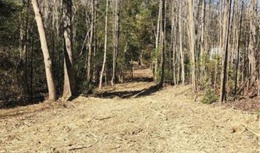 Photo #13 of LOT 6 St Andrews Church, Sanford, NC 2.5 acres