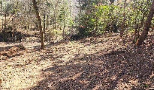 Photo #16 of LOT 6 St Andrews Church, Sanford, NC 2.5 acres