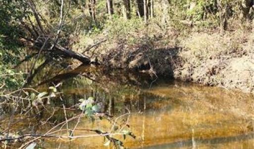 Photo #14 of LOT 6 St Andrews Church, Sanford, NC 2.5 acres
