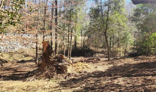 Photo #15 of LOT 6 St Andrews Church, Sanford, NC 2.5 acres