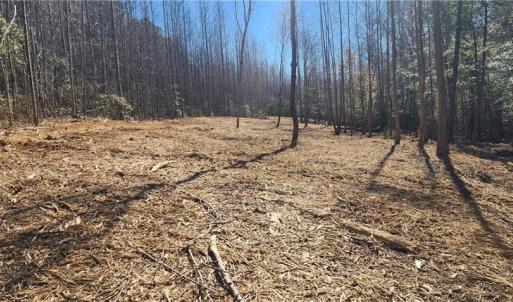 Photo #4 of LOT 6 St Andrews Church, Sanford, NC 2.5 acres
