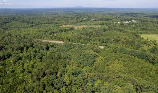 Photo #1 of Highway 220, Stoneville, NC 45.7 acres