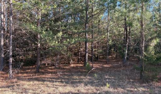 Photo #6 of Old Nc Highway 13, Asheboro, NC 66.9 acres