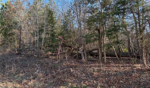 Photo #7 of Old Nc Highway 13, Asheboro, NC 66.9 acres