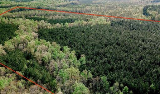 Photo #3 of Old Nc Highway 13, Asheboro, NC 66.9 acres