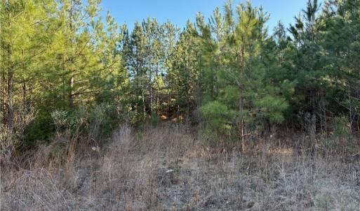 Photo #9 of Old Nc Highway 13, Asheboro, NC 66.9 acres
