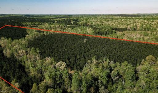 Photo #10 of Old Nc Highway 13, Asheboro, NC 66.9 acres