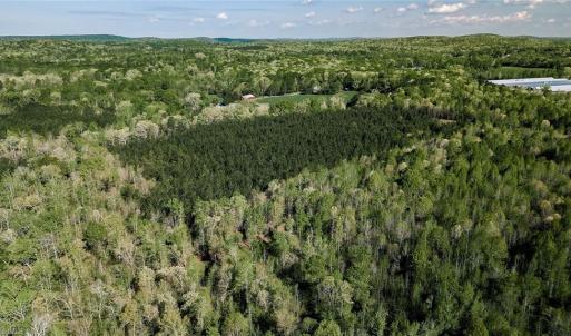 Photo #14 of Old Nc Highway 13, Asheboro, NC 66.9 acres