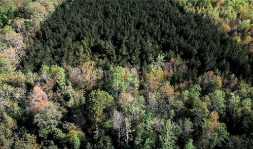 Photo #15 of Old Nc Highway 13, Asheboro, NC 66.9 acres