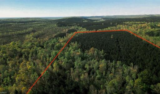 Photo #4 of Old Nc Highway 13, Asheboro, NC 66.9 acres