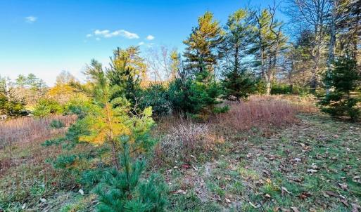 Photo #3 of TBD Overlook, Galax, VA 1.0 acres