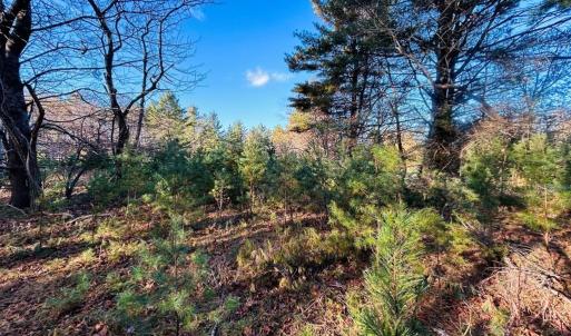 Photo #10 of TBD Overlook, Galax, VA 1.0 acres