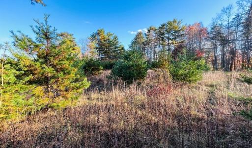 Photo #8 of TBD Overlook, Galax, VA 1.0 acres
