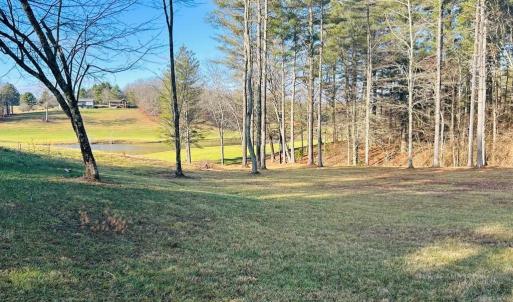 Photo #13 of TBD Manor House, Laurel Fork, VA 0.5 acres