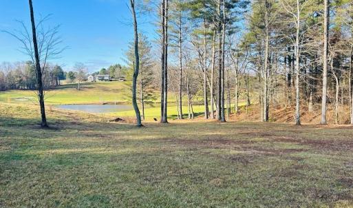 Photo #12 of TBD Manor House, Laurel Fork, VA 0.5 acres