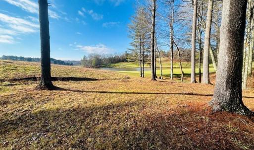 Photo #1 of TBD Manor House, Laurel Fork, VA 0.5 acres