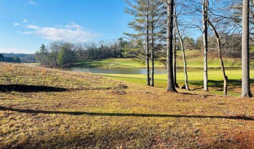 Photo #10 of TBD Manor House, Laurel Fork, VA 0.5 acres