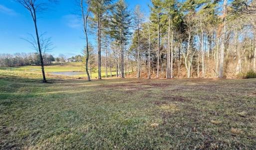 Photo #11 of TBD Manor House, Laurel Fork, VA 0.5 acres