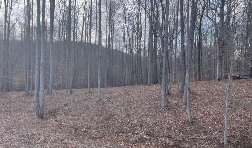 Photo #3 of 6455 Reubens Ridge, Winston-Salem, NC 5.5 acres