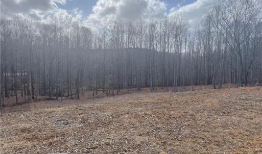 Photo #1 of 6455 Reubens Ridge, Winston-Salem, NC 5.5 acres