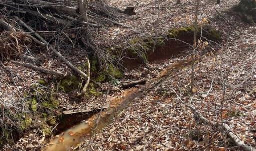Photo #4 of 6455 Reubens Ridge, Winston-Salem, NC 5.5 acres