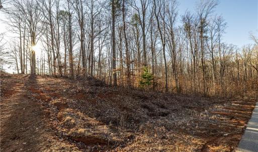 Photo #3 of 7607 Skippers, Oak Ridge, NC 1.0 acres