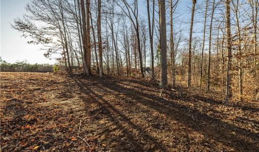 Photo #5 of 7607 Skippers, Oak Ridge, NC 1.0 acres