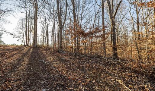 Photo #4 of 7607 Skippers, Oak Ridge, NC 1.0 acres
