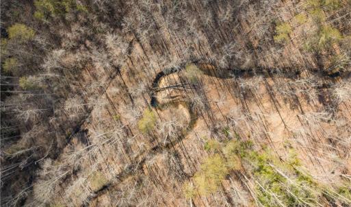 Photo #6 of 74.83 Windy Hill, Westfield, NC 74.8 acres