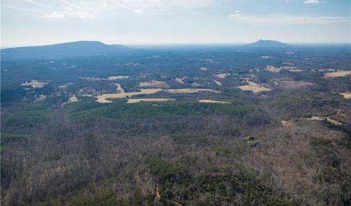 Photo #13 of 74.83 Windy Hill, Westfield, NC 74.8 acres