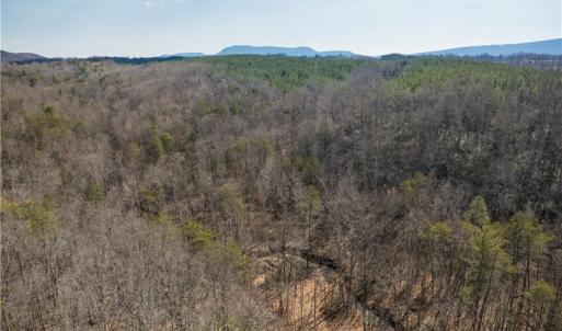Photo #16 of 74.83 Windy Hill, Westfield, NC 74.8 acres