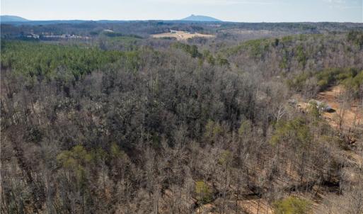 Photo #12 of 74.83 Windy Hill, Westfield, NC 74.8 acres