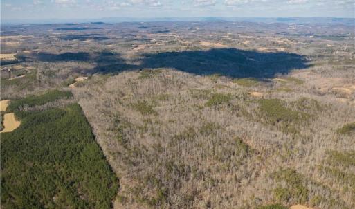 Photo #7 of 74.83 Windy Hill, Westfield, NC 74.8 acres