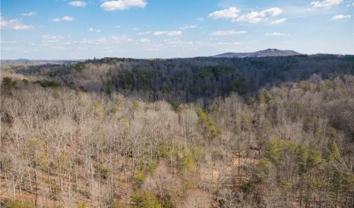 Photo #3 of 74.83 Windy Hill, Westfield, NC 74.8 acres