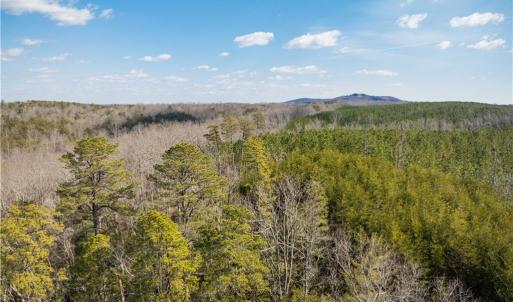 Photo #5 of 74.83 Windy Hill, Westfield, NC 74.8 acres