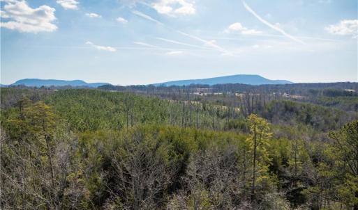 Photo #10 of 74.83 Windy Hill, Westfield, NC 74.8 acres
