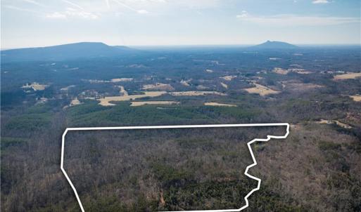 Photo #14 of 74.83 Windy Hill, Westfield, NC 74.8 acres