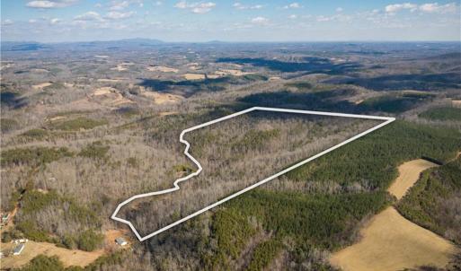 Photo #18 of 74.83 Windy Hill, Westfield, NC 74.8 acres