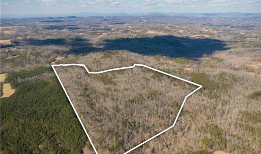 Photo #15 of 74.83 Windy Hill, Westfield, NC 74.8 acres