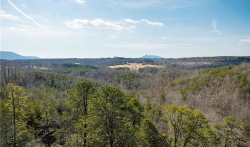Photo #11 of 74.83 Windy Hill, Westfield, NC 74.8 acres